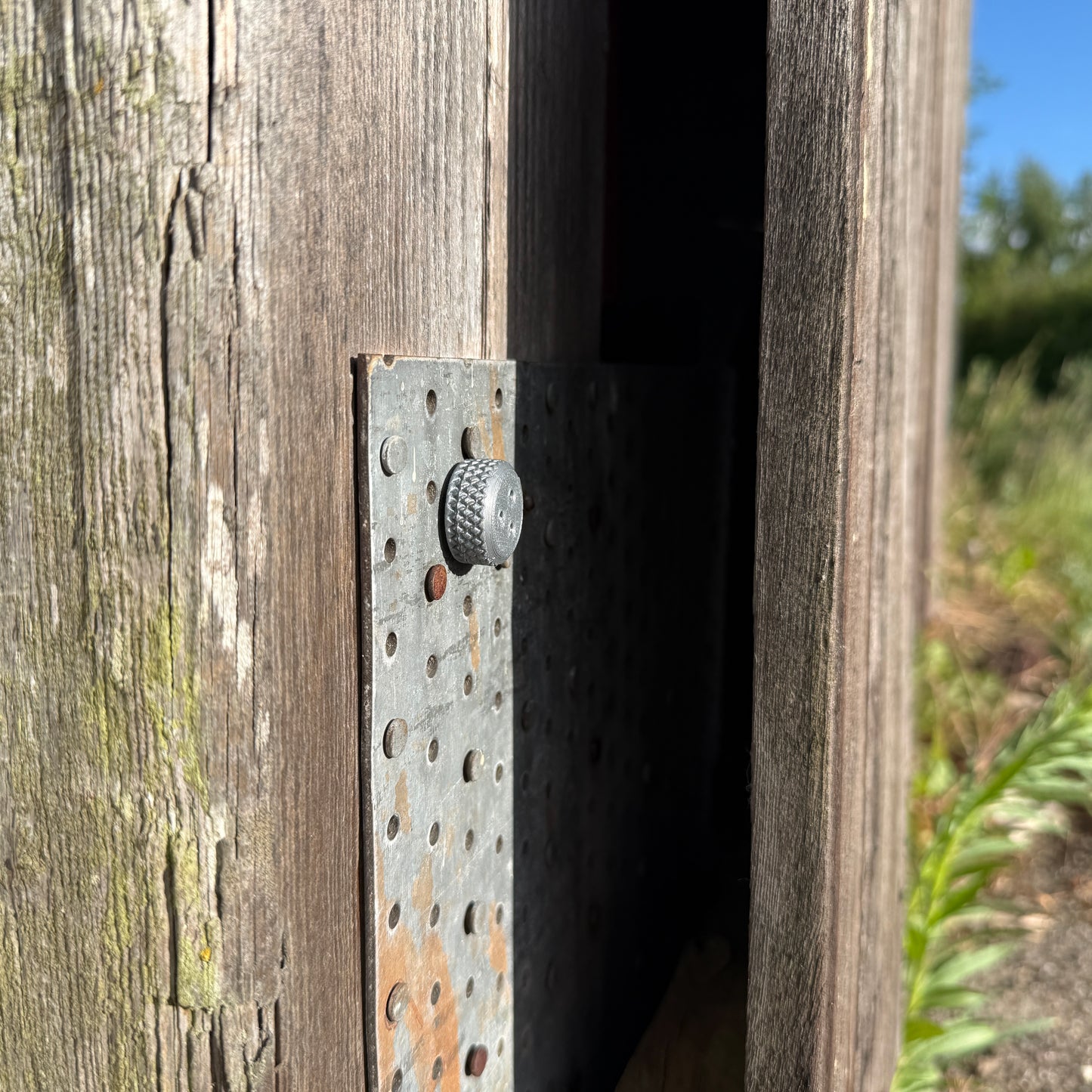 Nosework magnetisk camouflage beholder