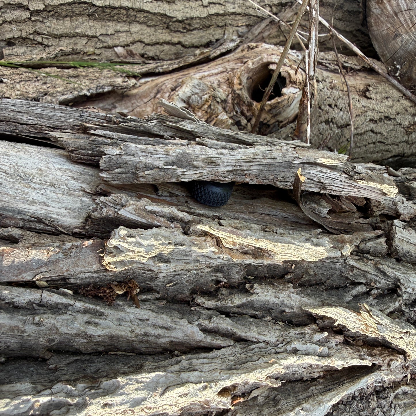 Nosework magnetisk camouflage beholder