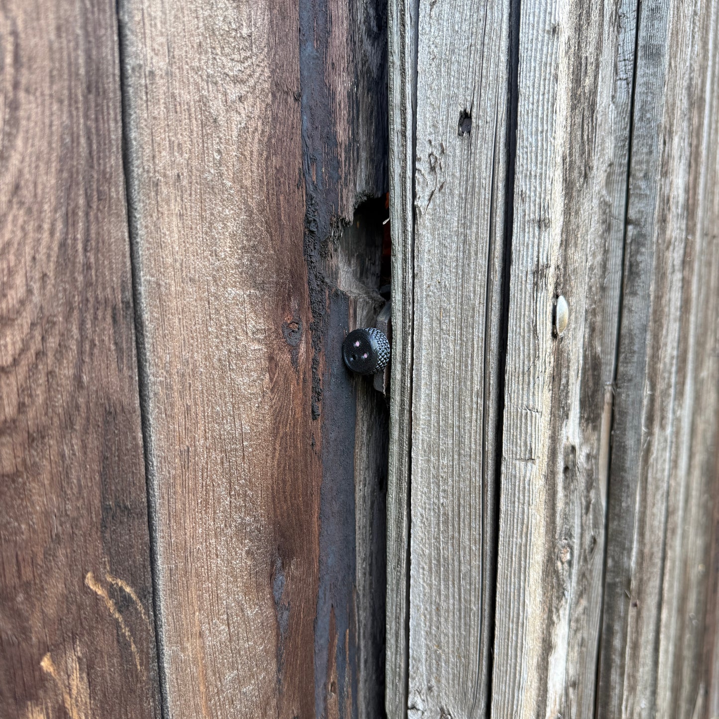 Nosework magnetisk camouflage beholder